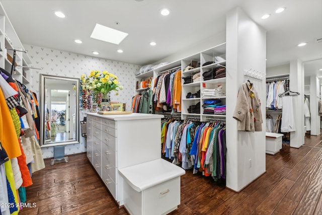 spacious closet featuring hardwood / wood-style floors and a skylight