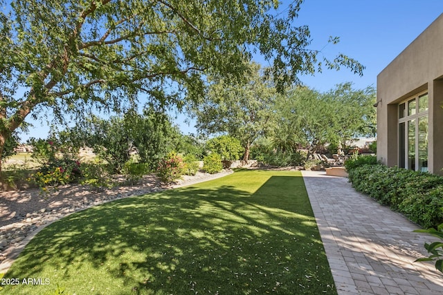 view of yard with a patio