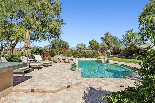 outdoor pool with a patio