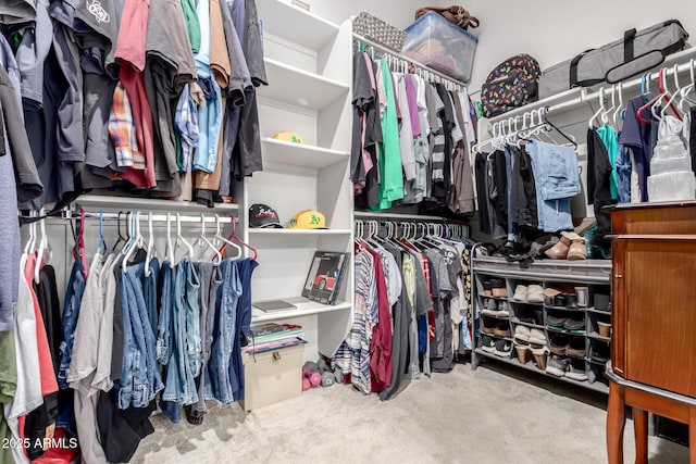 walk in closet with carpet floors