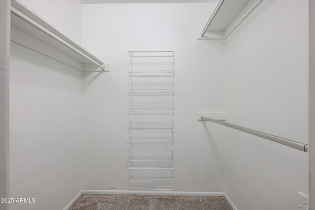 walk in closet with carpet floors