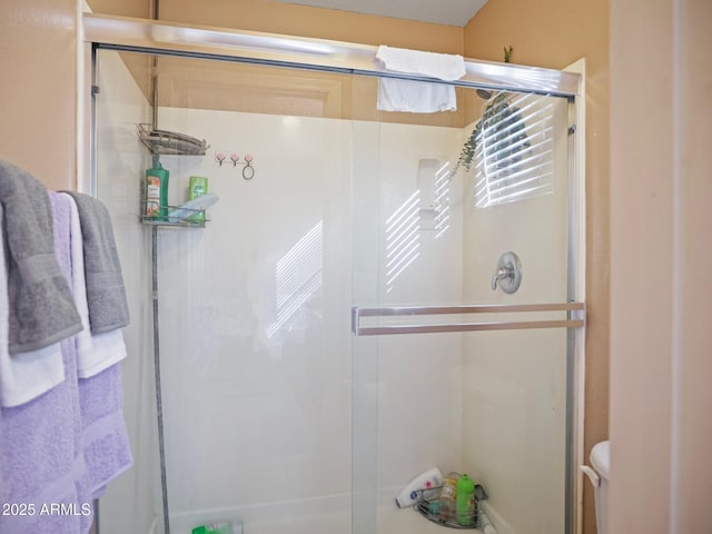 full bathroom featuring a shower stall and toilet