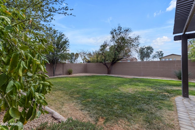 view of yard featuring a fenced backyard