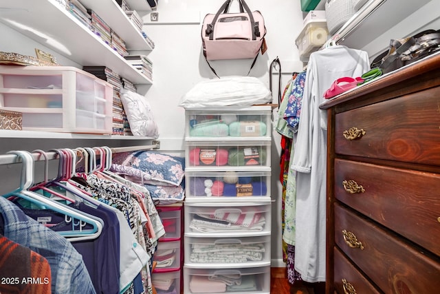 view of walk in closet