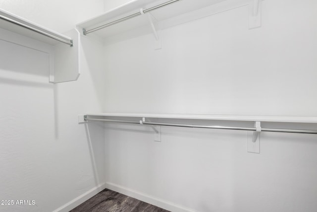 spacious closet with dark wood-type flooring