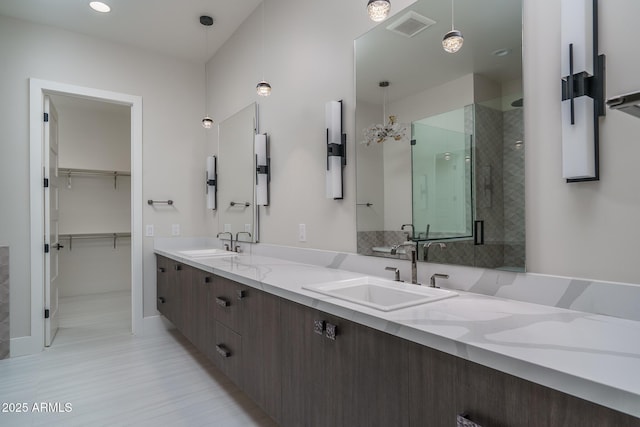 bathroom featuring vanity and a shower with shower door