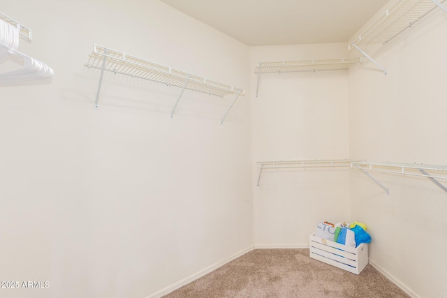 spacious closet with carpet