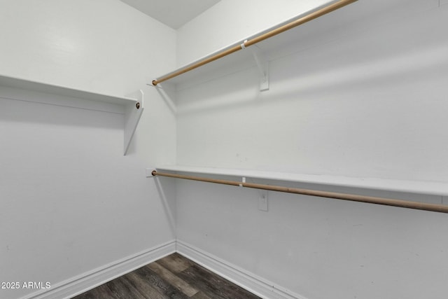 walk in closet with dark wood-style flooring