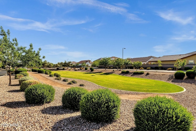 view of home's community featuring a residential view and a lawn