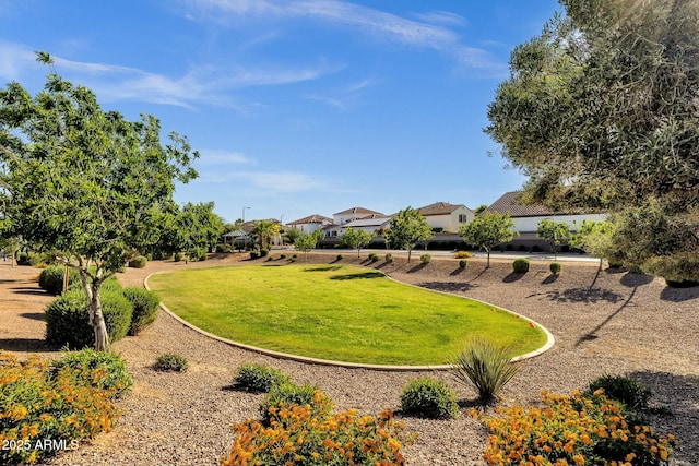 view of community with a yard and a residential view