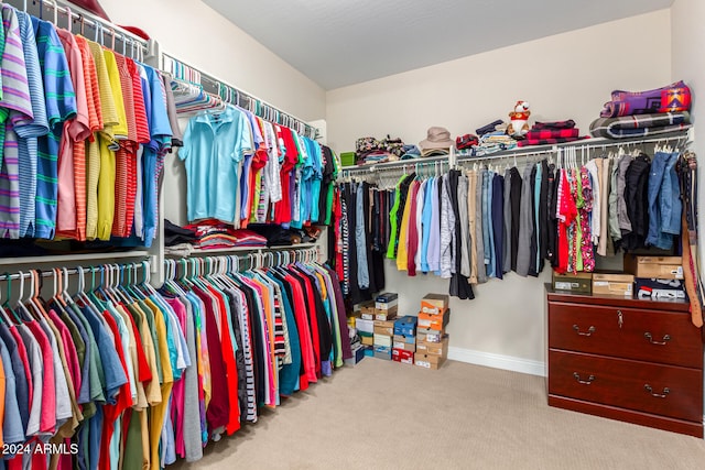 spacious closet with light carpet