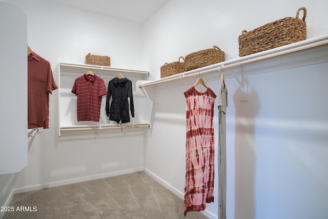 spacious closet featuring light colored carpet