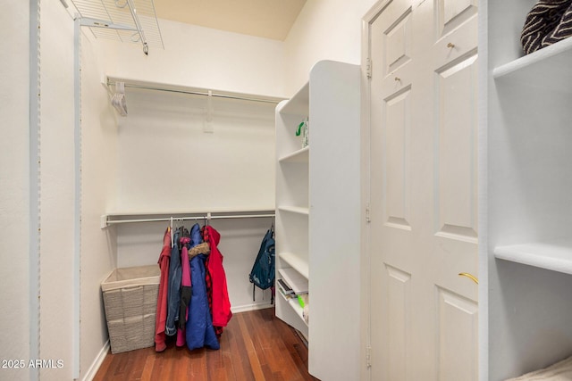 spacious closet featuring dark hardwood / wood-style flooring