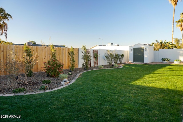 view of yard with a storage unit