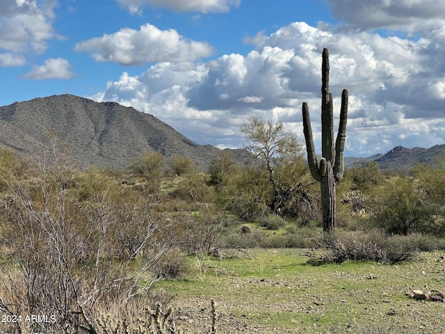 TBD N Vista Del Oro Rd Unit 1, Fort Mcdowell AZ, 85264 land for sale