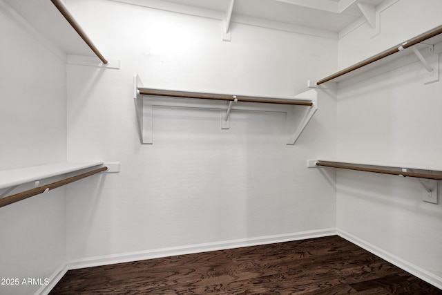 13945 E Gail Rd, Scottsdale, AZ 85259 - spacious closet featuring wood finished floors
