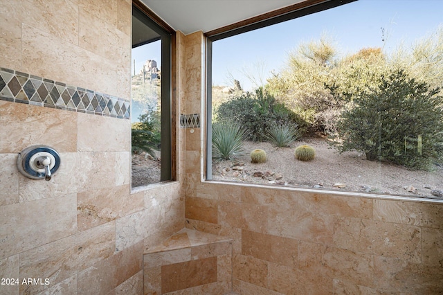 11070 E Rolling Rock Dr, Scottsdale, AZ 85262 - bathroom with plenty of natural light and a tile shower