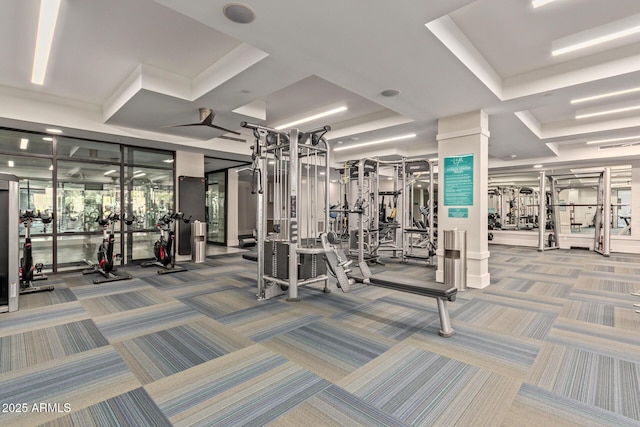 workout area with carpet flooring