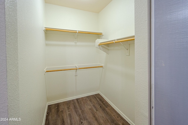 spacious closet with dark wood-type flooring