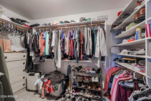 view of spacious closet