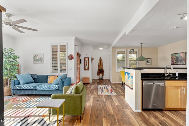 living room with ceiling fan, wood-type flooring, and sink