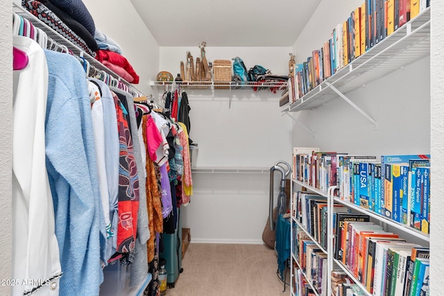 walk in closet with light carpet