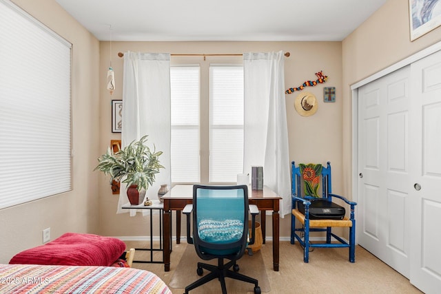 sitting room featuring a wealth of natural light and light colored carpet