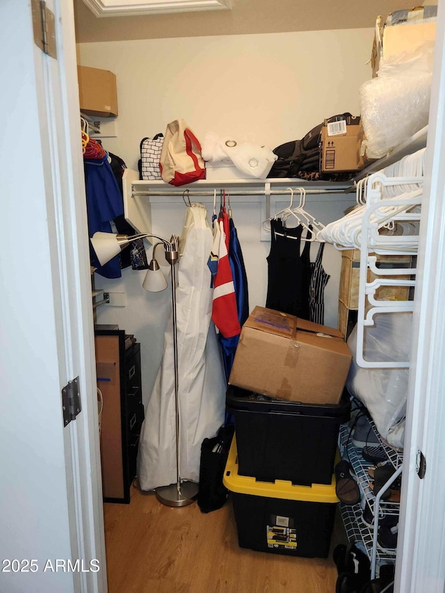 walk in closet featuring wood finished floors