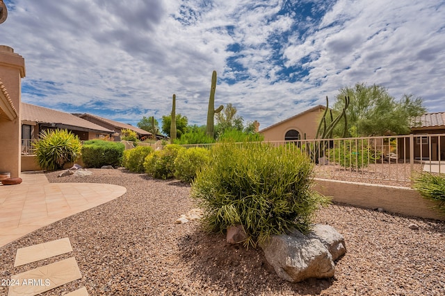 view of yard featuring a patio