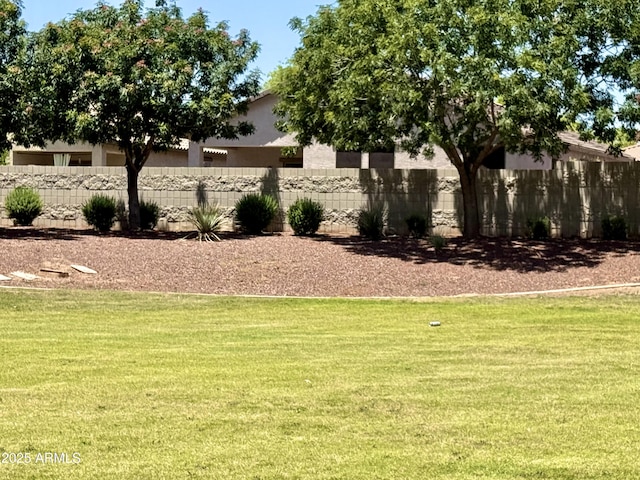 4117 W Allen St, Laveen, AZ 85339 - view of yard