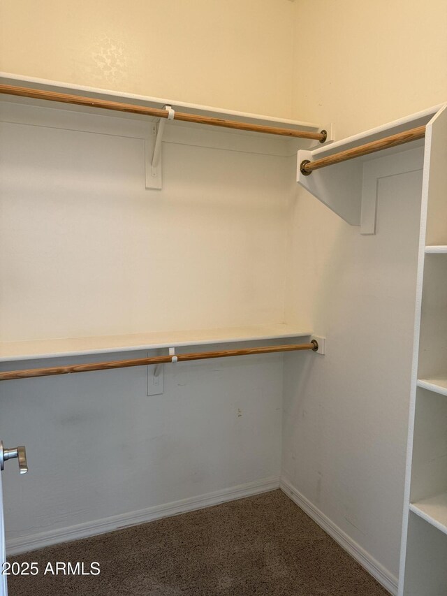 4117 W Allen St, Laveen, AZ 85339 - walk in closet with carpet