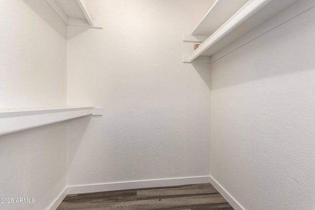 spacious closet featuring dark wood-style flooring