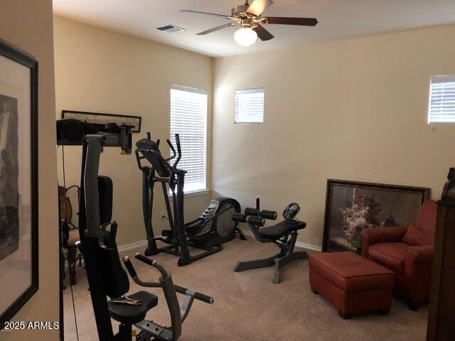 35401 N Via Tramonto St, Phoenix, AZ 85086 - workout area featuring ceiling fan, healthy amount of natural light, and carpet floors