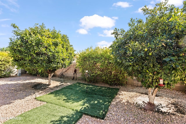 view of yard featuring a fenced backyard