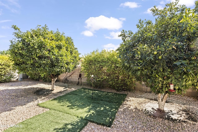 view of yard with a fenced backyard