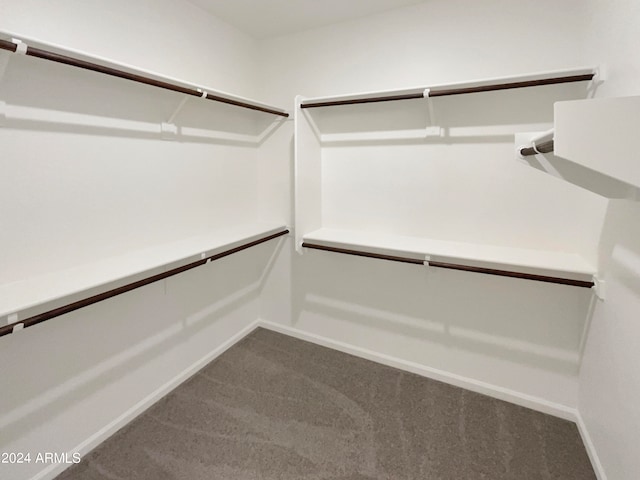 spacious closet with carpet floors