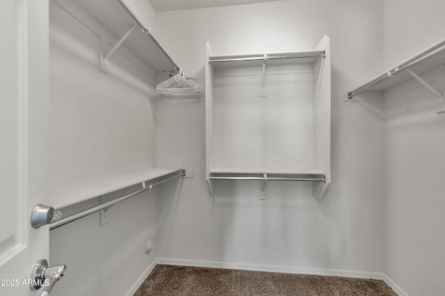 walk in closet featuring carpet