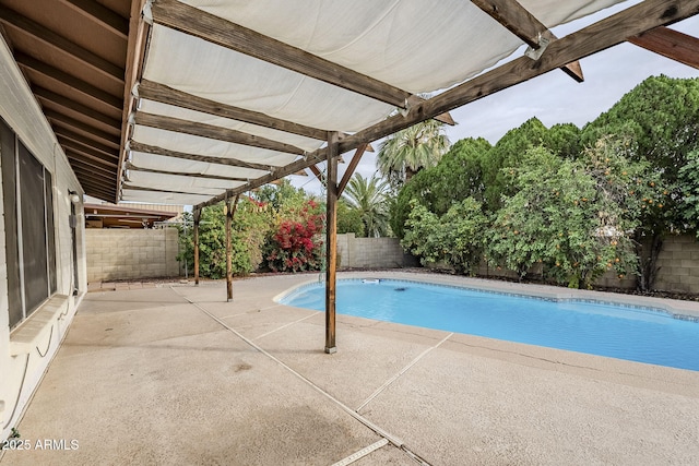 view of swimming pool with a patio