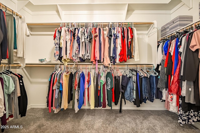 walk in closet featuring carpet flooring