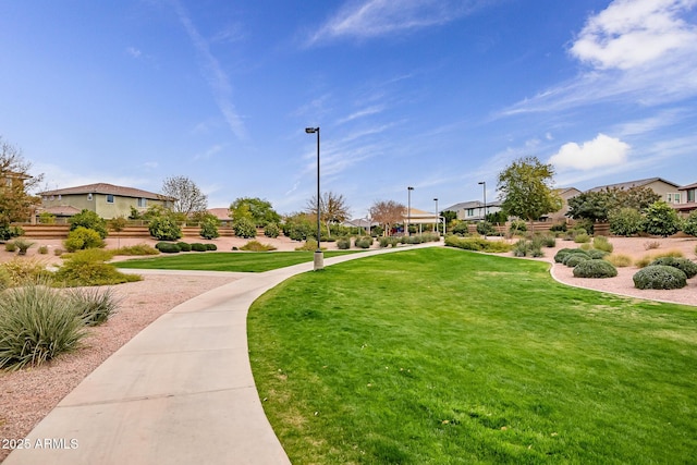 view of community featuring a yard