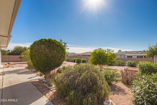 view of yard with a patio