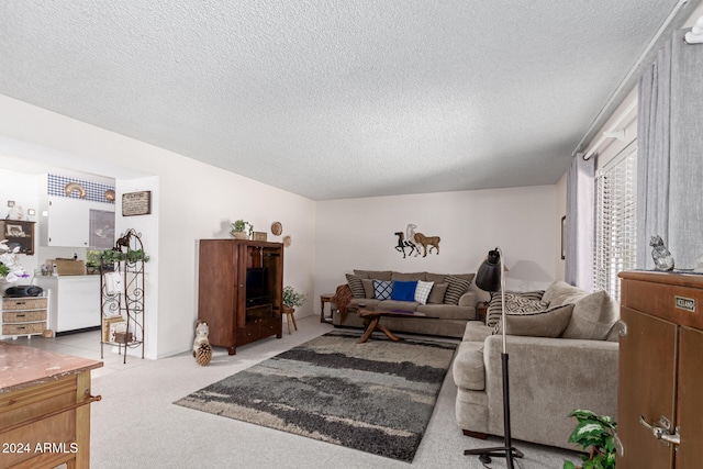 carpeted living room with a textured ceiling