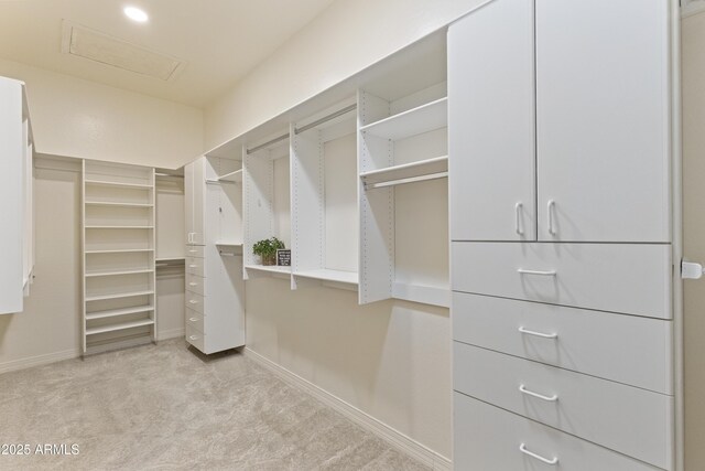 6918 E Ivyglen St, Mesa, AZ 85207 - spacious closet featuring light colored carpet and attic access