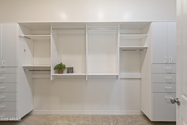6918 E Ivyglen St, Mesa, AZ 85207 - view of walk in closet