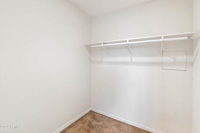 walk in closet with carpet