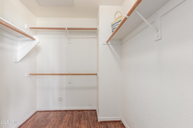 walk in closet featuring dark wood-type flooring