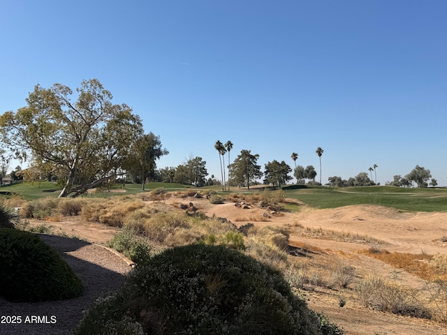 view of local wilderness