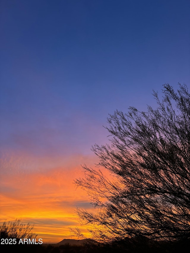 view of nature at dusk