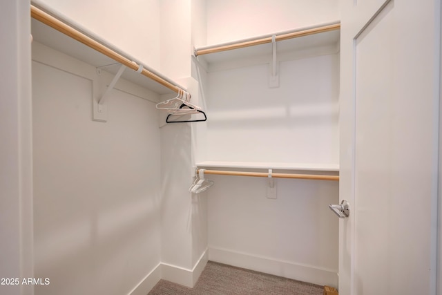 spacious closet featuring light carpet