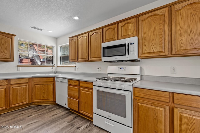 kitchen featuring light wood-type flooring, a sink, a textured ceiling, white appliances, and light countertops